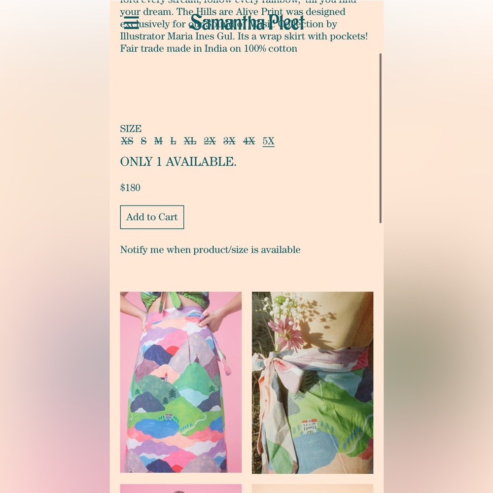 Samantha Pleet Multicolor Scenic A-Line Skirt - Picture 3 of 5